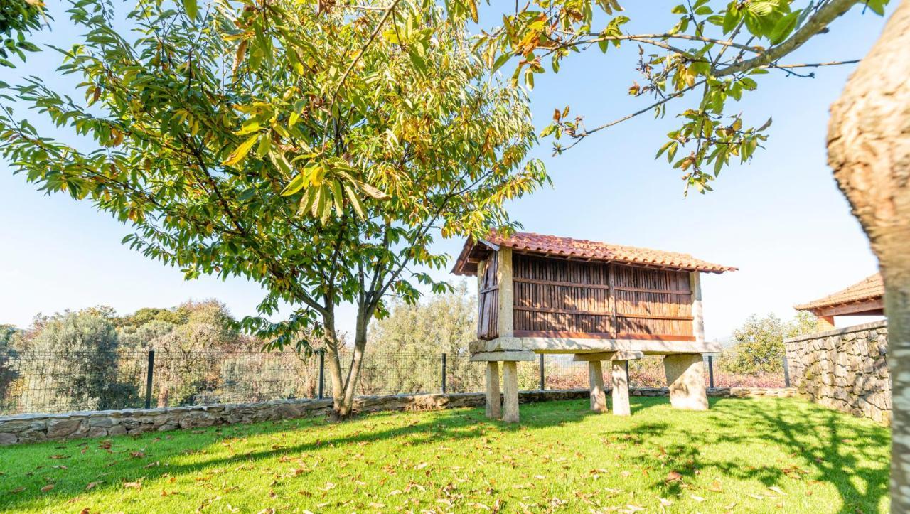 Casa Do Testado Ponte de Lima Kültér fotó